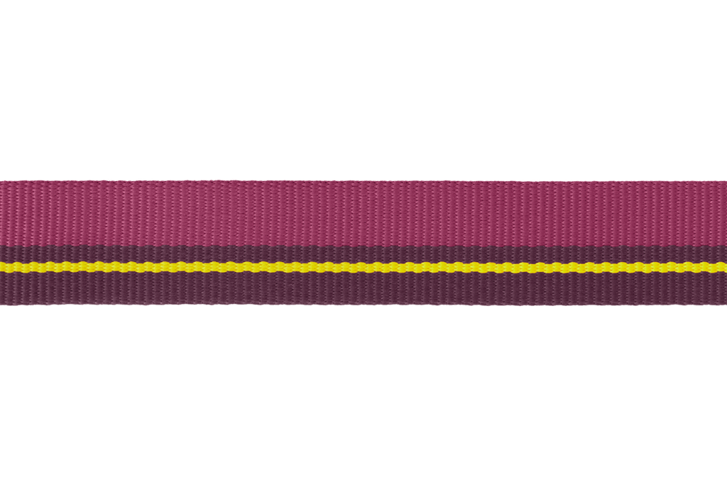 Flat Out™ Dog Collar