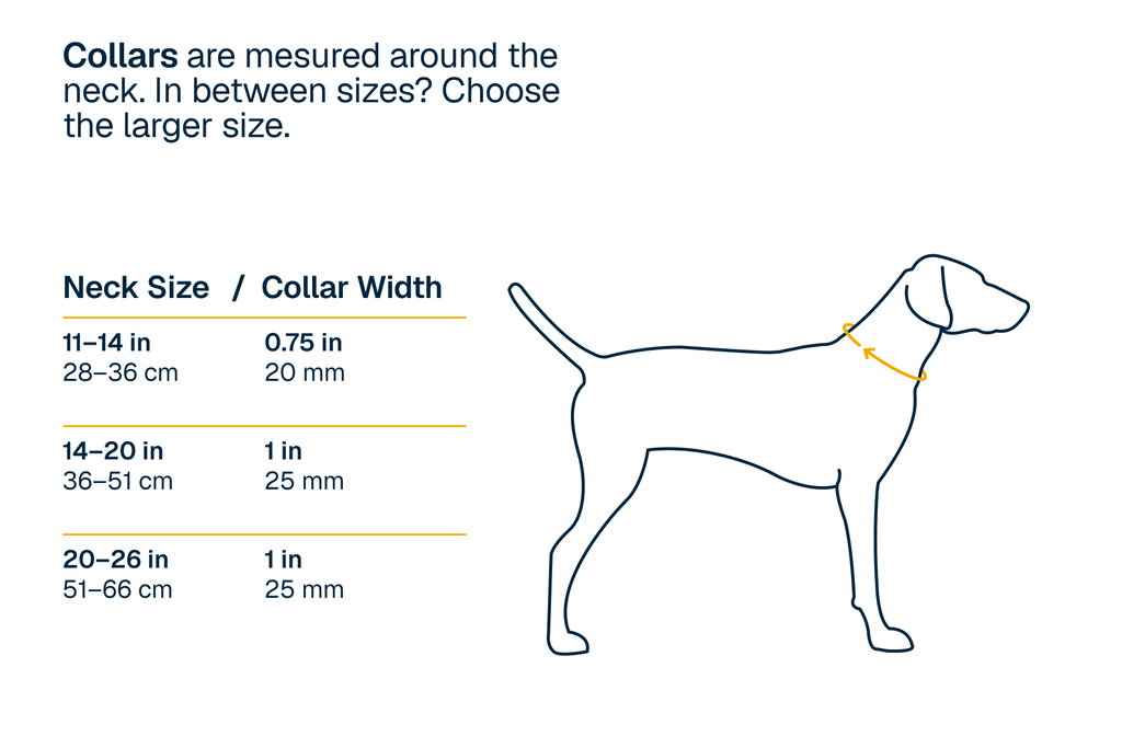 Front Range™ Flex Collar